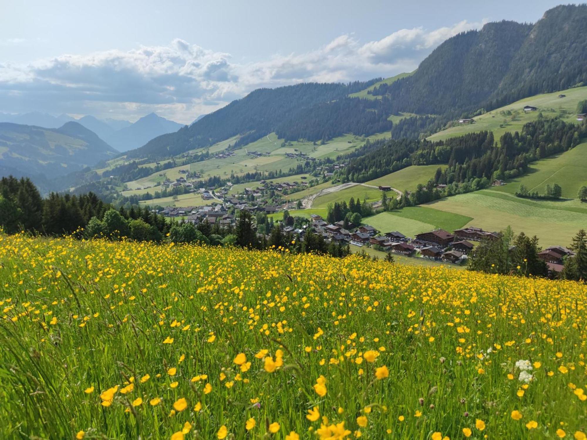 Chalet Mountain View Alpbach Exterior foto